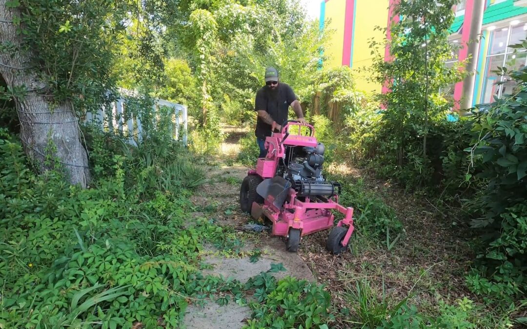 Free Lawn Care Makeover